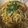 にゃんこりんご's cooksnap of when they made 簡単醤油ラーメンスープ♪.