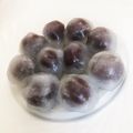 し____た's cooksnap of when they made 片栗粉であんころくず餅.