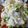 くま8421's cooksnap of when they made 白菜と長芋のシャキふわサラダ.