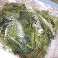 しろだいず's cooksnap of when they made 三つ葉の長持ち保存方法.