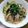 逆さナマズ's cooksnap of when they made 湯切りいらず！簡単和風パスタ.