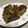 クックPEVDFZ☆'s cooksnap of when they made 簡単美味しいピーマンの肉詰め.