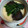 ぷっちかおりんご's cooksnap of when they made 旦那の喜ぶ茶碗蒸し.