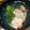 るてぃす's cooksnap of when they made はまぐり♪お吸い物（*^_^*）簡単♪.