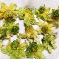 クックE7AY42☆'s cooksnap of when they made フキノトウの天ぷら.