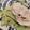 クックTLDS2A☆'s cooksnap of when they made セロリと大根で豚しゃぶホットサラダ.