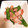 コッピー３０５'s cooksnap of when they made たくさん取れたら☆さやえんどうの炒め物.