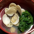 あかにた's cooksnap of when they made はまぐりの潮汁.