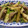 Haru Haru's cooksnap of when they made 博多蕾菜と豚肉の炒め物.
