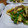 rencon03's cooksnap of when they made 彩り良し！基本の牛細切り肉の青椒肉絲.