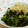 umemodoki's cooksnap of when they made ごま油の小松菜炒め.