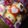 ぷりっちょす's cooksnap of when they made ラングドシャ.