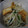 ぎきん's cooksnap of when they made パパッと！豚ともやしの塩炒め.