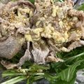 まゆまルイ's cooksnap of when they made 豚しゃぶと水菜のマヨポン酢サラダ！.