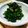 すてら605's cooksnap of when they made 大葉風味のほうれん草のお浸し.