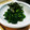 すてら605's cooksnap of when they made 大葉風味のほうれん草のお浸し.