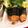 きらきらきららん's cooksnap of when they made ✿ささみの磯辺揚げ✿.