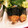 きらきらきららん's cooksnap of when they made ✿ささみの磯辺揚げ✿.