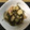 エミリー1967's cooksnap of when they made 鶏肉とじゃが芋と切り昆布の煮物.