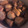 ほんやなみゆ's cooksnap of when they made ヒイカと里芋の煮物.
