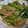 ぽちぼて's cooksnap of when they made もやしと小松菜のオイスターソース炒め.