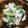 クックMQS4E6☆'s cooksnap of when they made 菜の花とささみのマスタードサラダ♡.