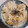 eiyoushi's cooksnap of when they made さつまいもごはん【柏市学校給食】.
