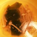 つんたゃん's cooksnap of when they made ☺簡単すぐできるえのき入りわかめスープ☺.