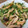 amadokoro's cooksnap of when they made 豆苗と油揚げのさっと煮.