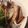 すみれ１９３'s cooksnap of when they made フライパンでいか大根.