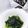まこさんど's cooksnap of when they made セロリの葉deおひたし.
