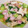 saoomin's cooksnap of when they made 青梗菜としめじとベーコンの煮.