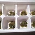16866♠'s cooksnap of when they made 離乳食中期★豆苗（とうみょう）.