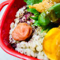 U☆kaoru's cooksnap of when they made お弁当・・・109ゆかり梅干しご飯.