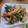 ポニーリボン's cooksnap of when they made 厚揚げとキュウリの簡単塩炒め.