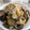 食べる担当〜☆'s cooksnap of when they made ナスの簡単和風パスタ.