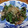 msy0730's cooksnap of when they made ★簡単★ごま油が香るシシトウの煮浸し.