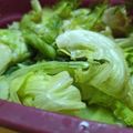 あゆたっくん's cooksnap of when they made 簡単☆激旨！レタスのさっぱりお浸し.