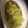 べあーるぶい's cooksnap of when they made 簡単♪きゃべつ炒めｗアンチョビ.