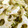 oasis_ln's cooksnap of when they made れんこんの塩きんぴら.