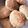 Pi○'s cooksnap of when they made HM☆メープルバナナクッキー.