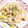 KUMI KUMI's cooksnap of when they made エリンギとむきエビの玉子炒め.