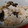 あゆたっくん's cooksnap of when they made 簡単美味♪我が家のきのこ炊き込みご飯☆.