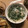きらきらのんたん's cooksnap of when they made 春菊とえのきの中華スープ.
