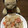 korakko's cooksnap of when they made 冷凍あさりの炊き込みご飯♡.