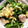 ＫawausosO's cooksnap of when they made 菜の花のたまご炒め.