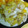 yukomiku's cooksnap of when they made すぐ出来る♪白菜とちくわのお浸し.