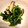 さらんだー's cooksnap of when they made 椎茸ほうれん草の酒のアテ.