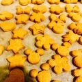 LUNAmama☆'s cooksnap of when they made 簡単♪きな粉のざくざくクッキー☆.