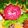 三つ葉つくし's cooksnap of when they made かぶの薔薇・花びら甘酢漬け.